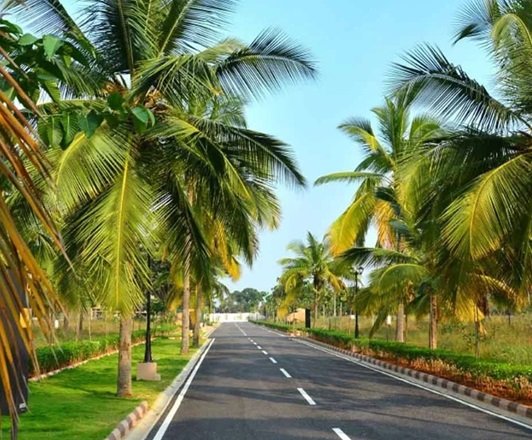 sobha-chartered-birdsong-banner